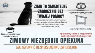 Pamiętajmy o zwierzętach – tych swoich i tych bez domu
