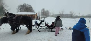 Zimowy kulig klasowy 5c