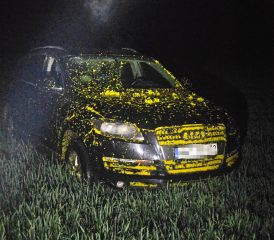 Aktualności Porzucone Audi w rzepaku i fałszywa kradzież. 40‑latek usłyszał 9 zarzutów