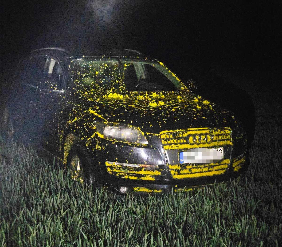 Aktualności Porzucone Audi w rzepaku i fałszywa kradzież. 40‑latek usłyszał 9 zarzutów