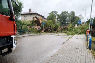 Wiatr łamał drzewa jak zapałki. Strażacy jeździli od zdarzenia do zdarzenia