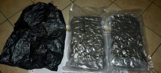 Marihuana na polu kukurydzy. Narkotyki odnalazł policyjny pies