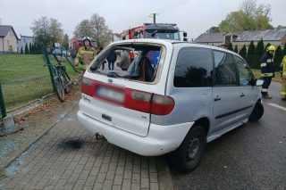 Dachowanie w Dąbku