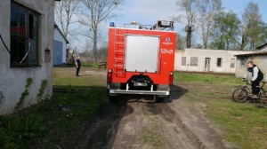 18338883 462900060714729 250732706 o