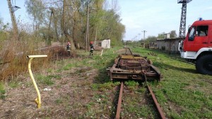 18339508 462899997381402 537883460 o