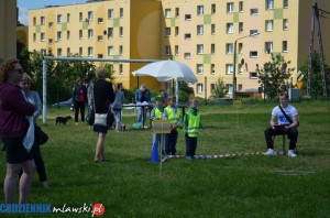 DSC 0050