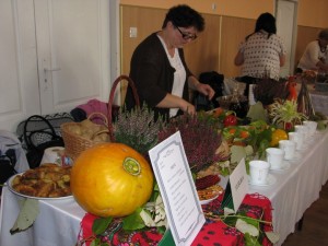 IMG 0050