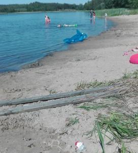 62075893 843776685977587 4191709380191715328 n