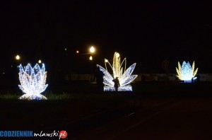 DSC 0053