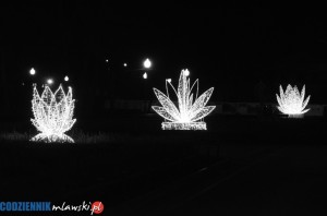 DSC 0054