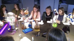 IMAG2061