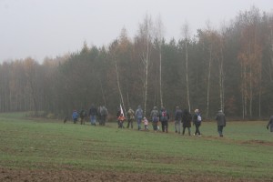 IMG 0704