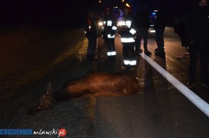 DSC 0005