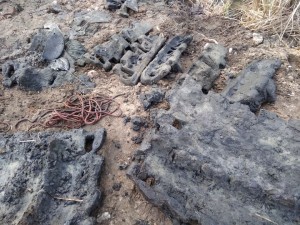 fot. PiotrBucholski (5)