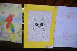 2 mops (12)