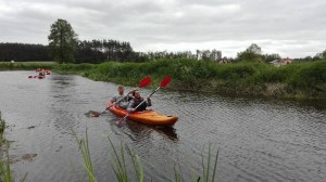 18766069 1894714054100161 7501446244222199592 n