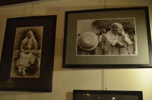 DSC 0041