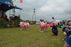 DSC 0202