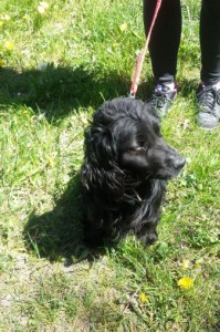 08268efe0ed060d8b663a857e0837074