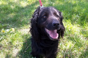 3884b0c7ea16072b664c4bf1c2d37fdc