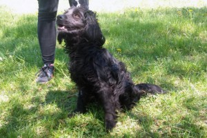 e26bd1ebf66edb3e4dd09fbcd3174ae5