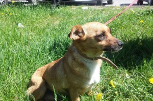 4fbdfb262c60aafaf0407841a5323462