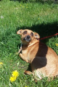 6fd387c702d956ee0a76f51526b2b7eb