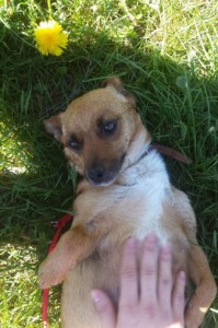 87ca60580db0a26af32cd238c184b1b1